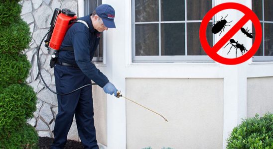Karaisalı Fare İlaçlama böcek ilaçlama ve haşere kontrolü — ilaclama-tr.com